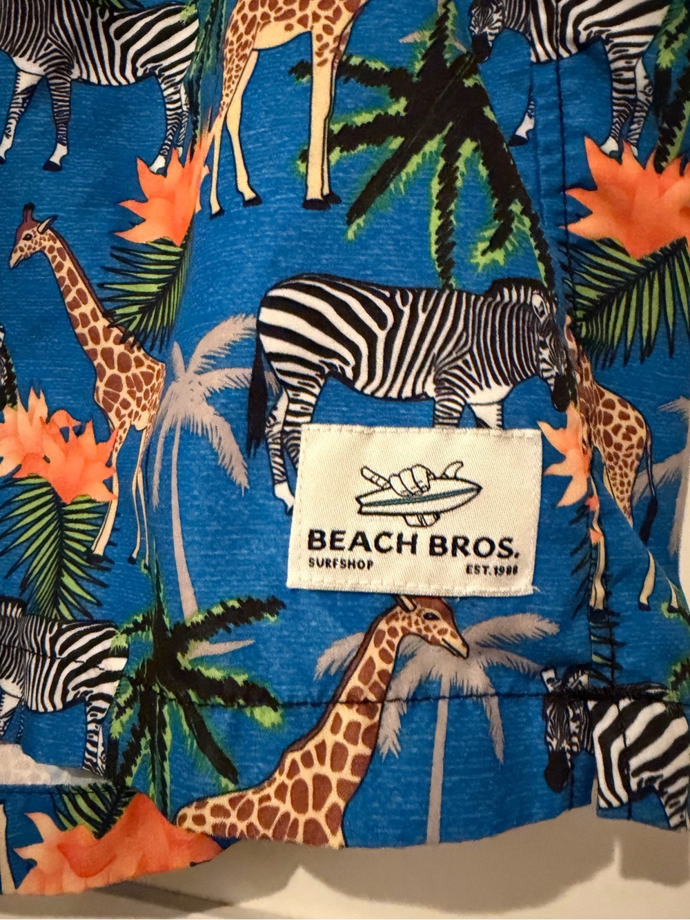 Beach Bros. Volley Swim Trunks - Picture 2 of 7